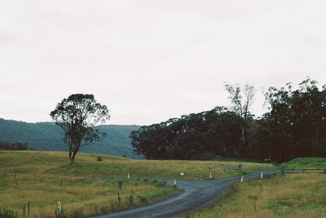 Virtual Tour of The Shoalhaven Wine Region - Secret Bottle